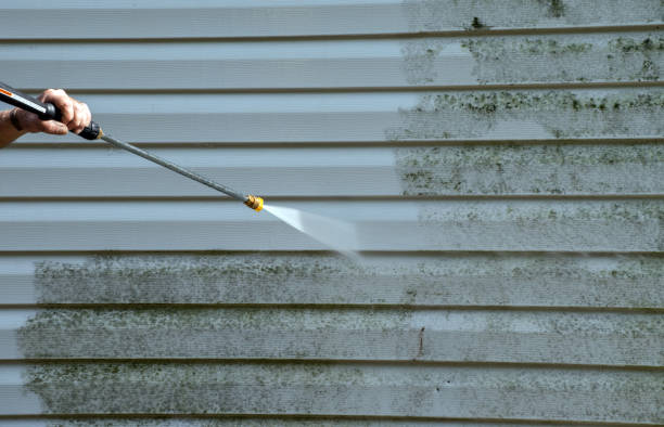 Best Local Pressure Washing Services  in Bertville, AL