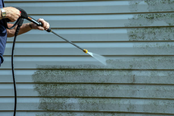 Best Sidewalk Pressure Washing  in Bertville, AL