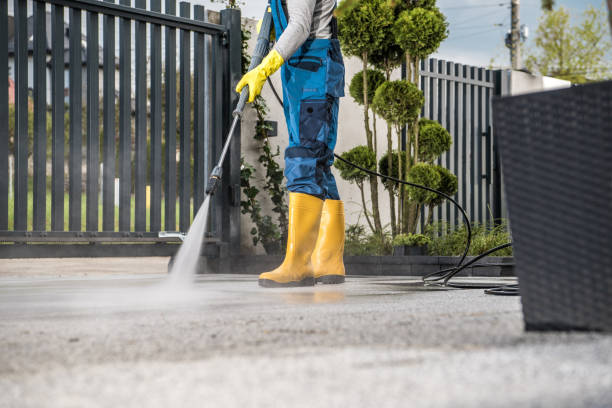 Best Affordable Pressure Washing  in Bertville, AL