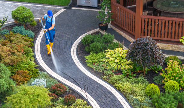 Best Local Pressure Washing Services  in Bertville, AL