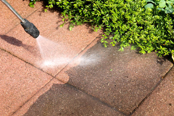 Best Fence Pressure Washing  in Bertville, AL